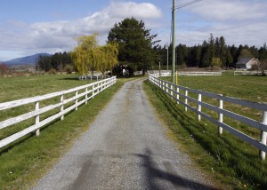 driveway